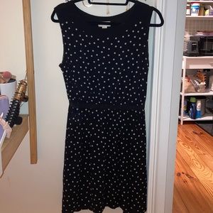 Anne Taylor Loft polka dot dress.